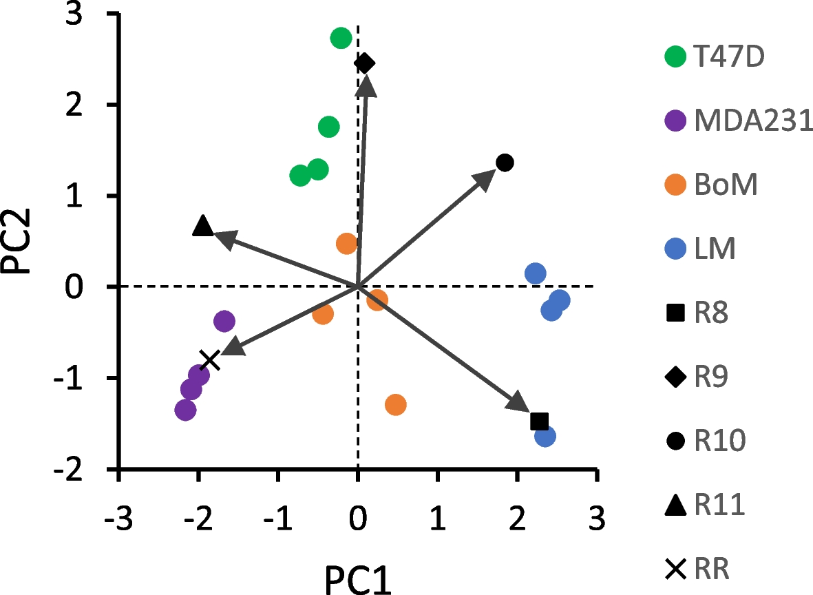 Fig. 10