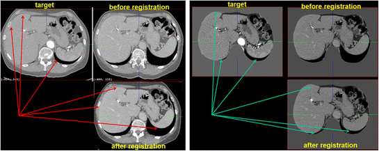 Fig. 8