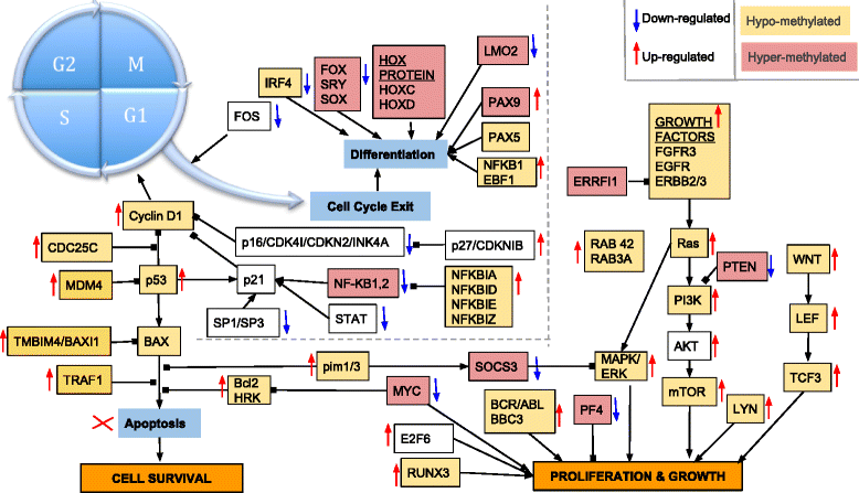 Fig. 8