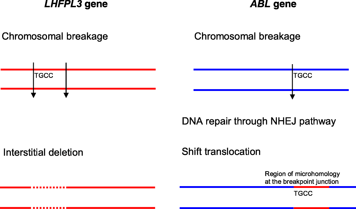 Fig. 10