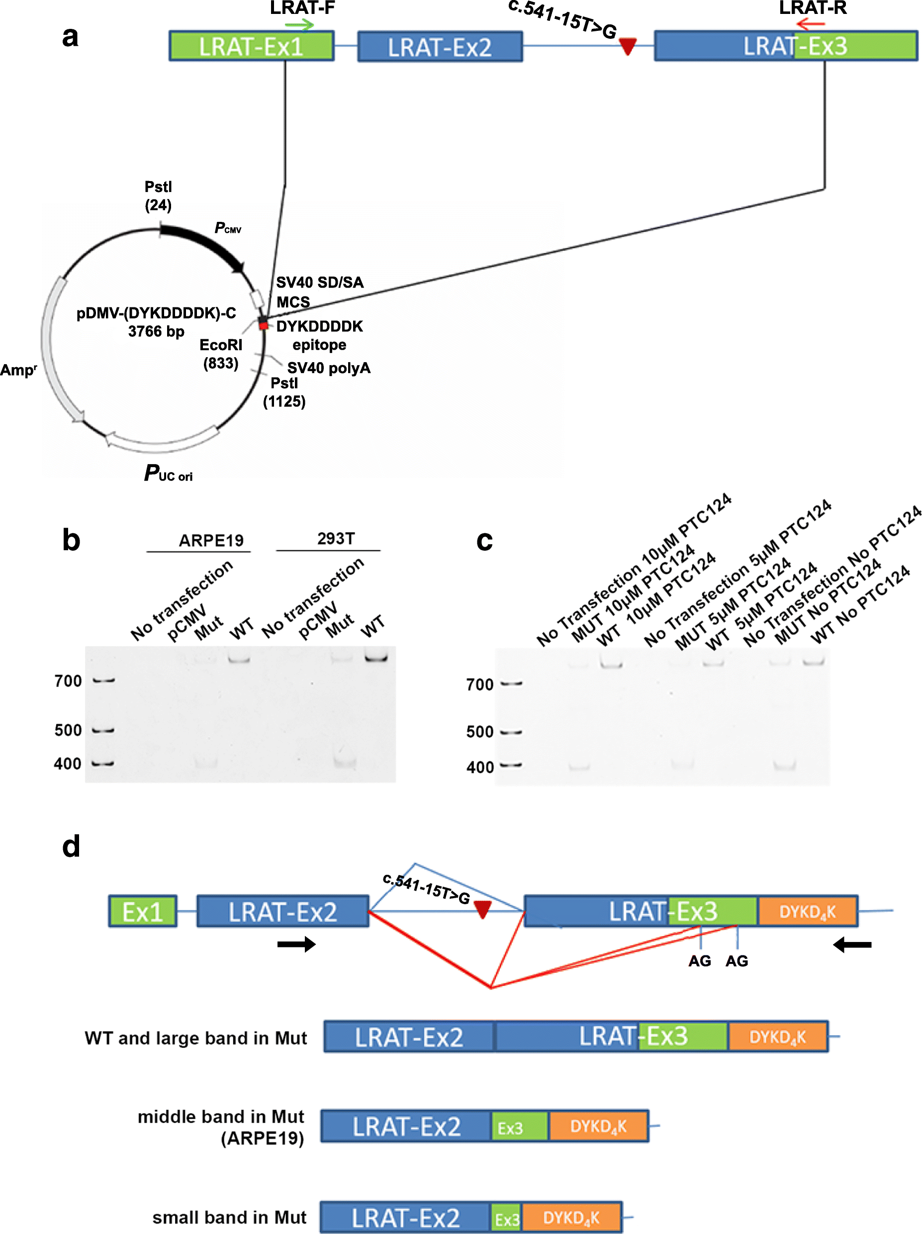 Fig. 6