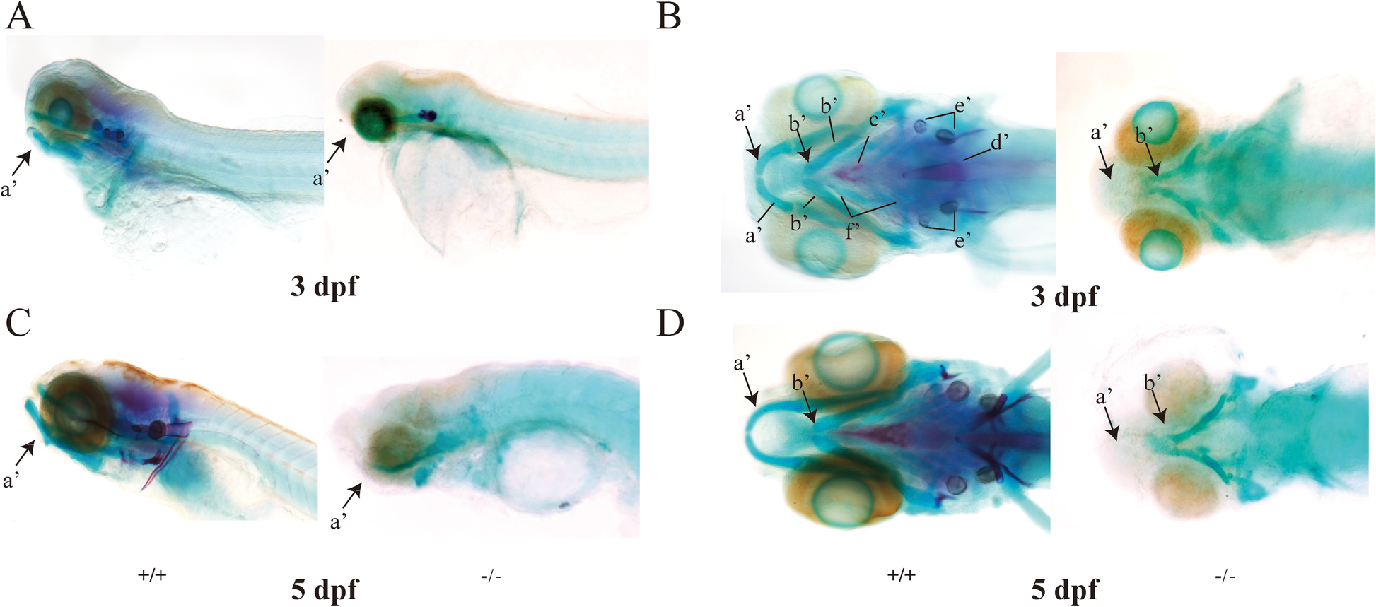 Fig. 4