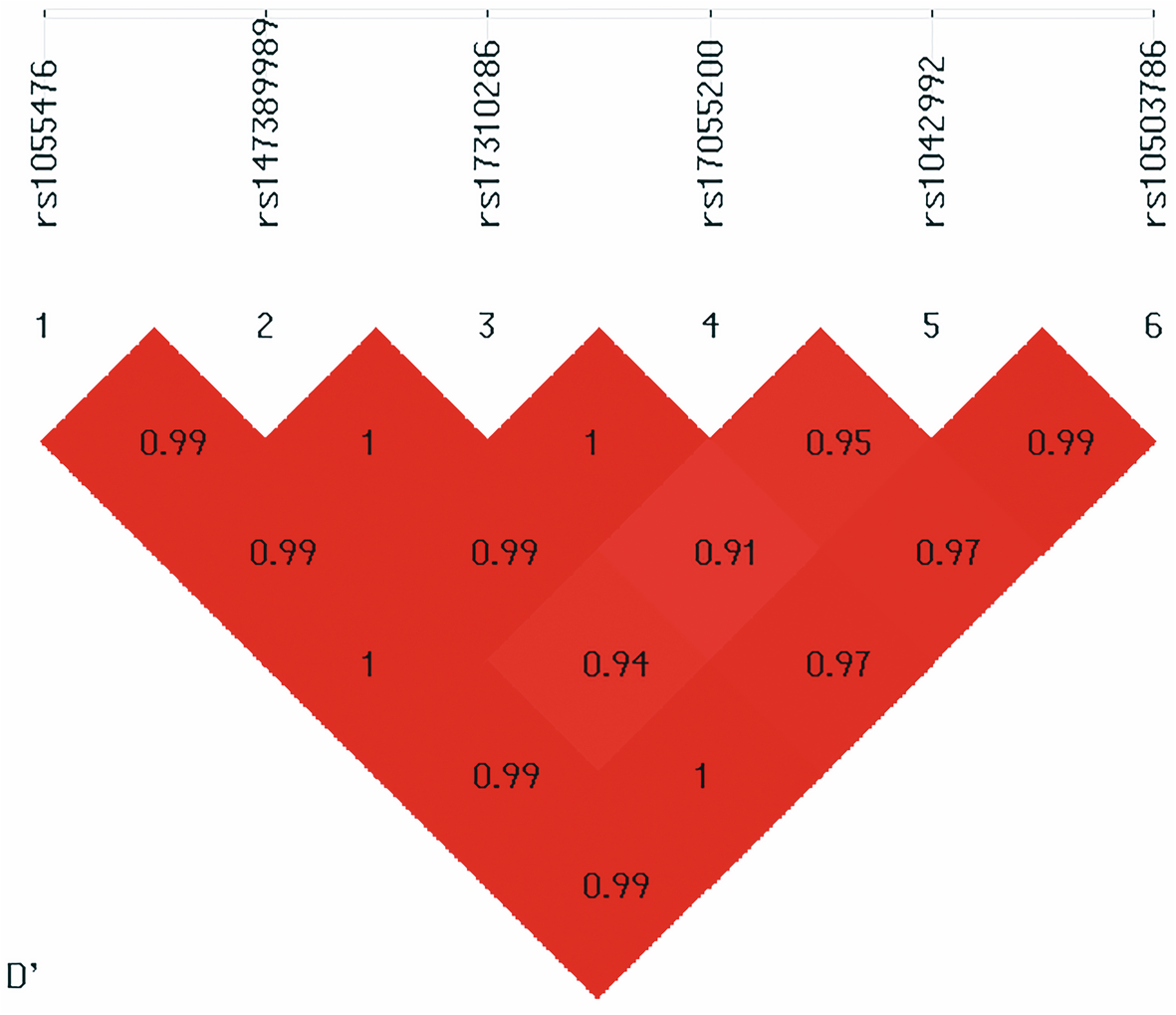 Fig. 4