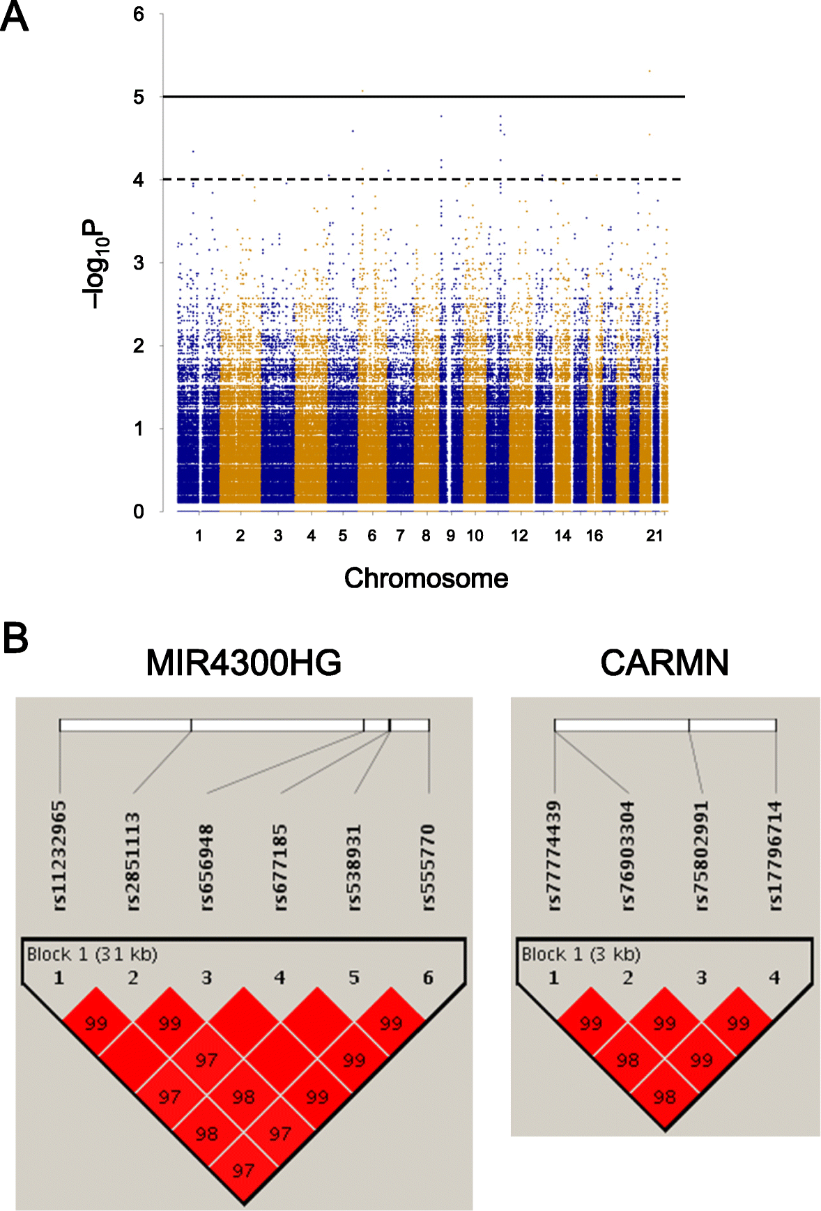 Fig. 1