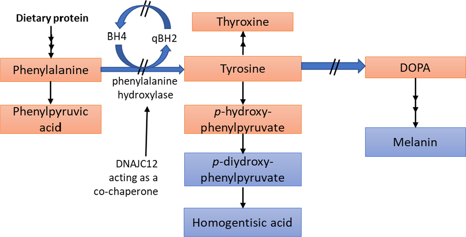 Fig. 2 