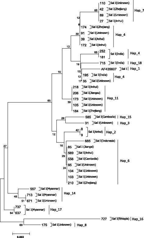 Fig. 3