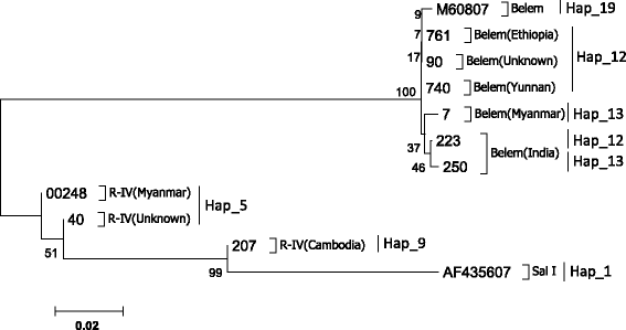 Fig. 5