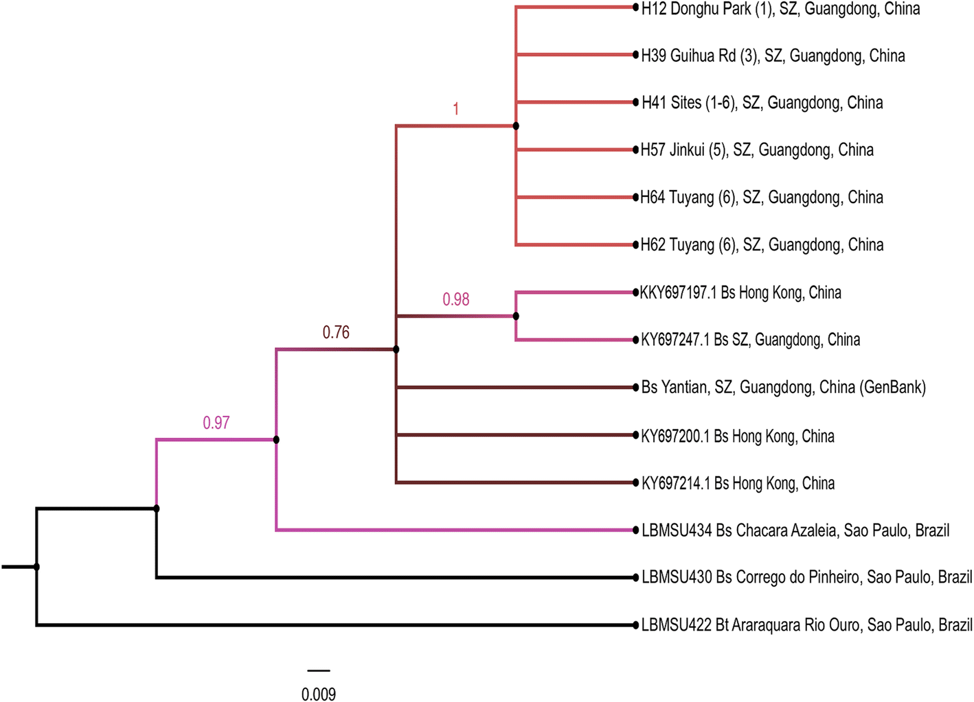 Fig. 7