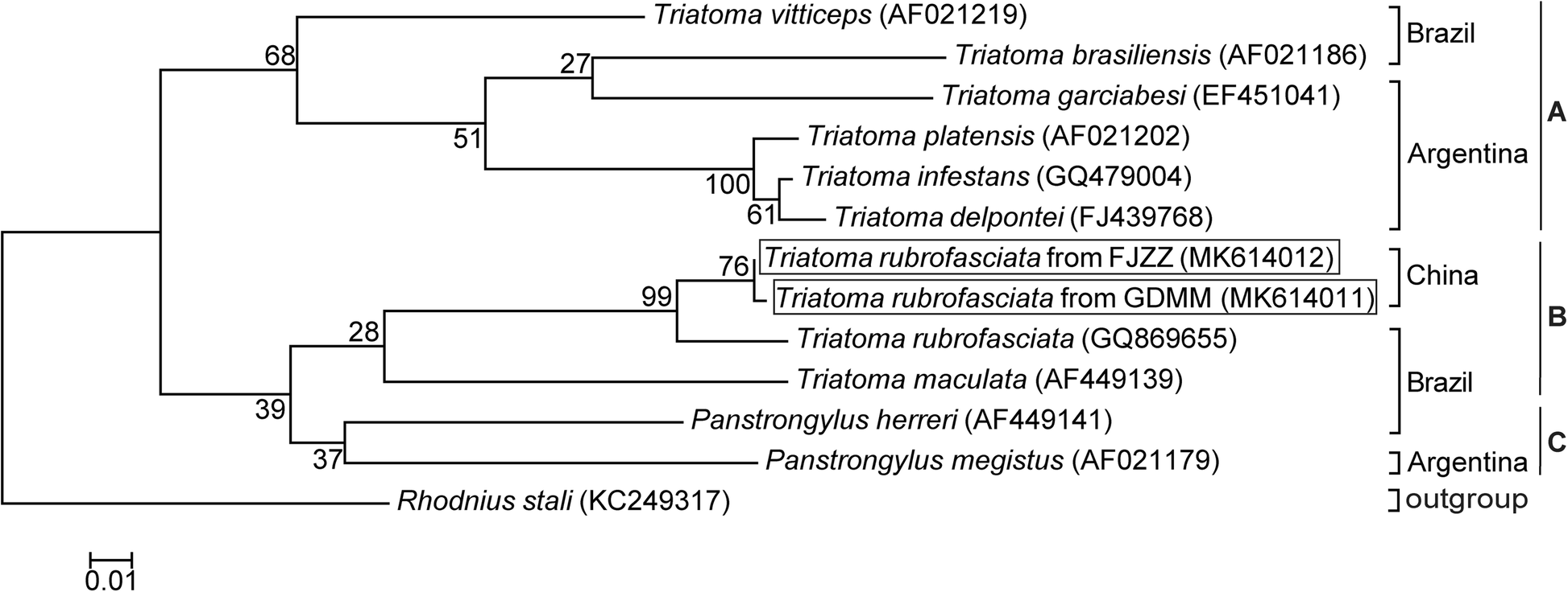 Fig. 6