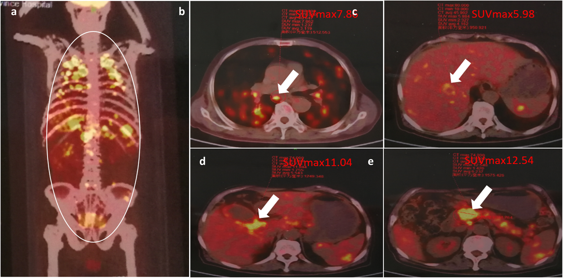 Fig. 3