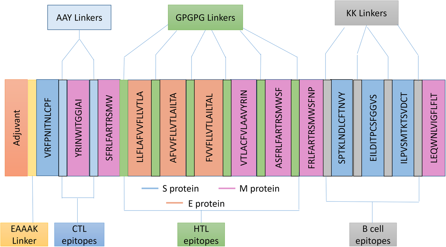 Fig. 3