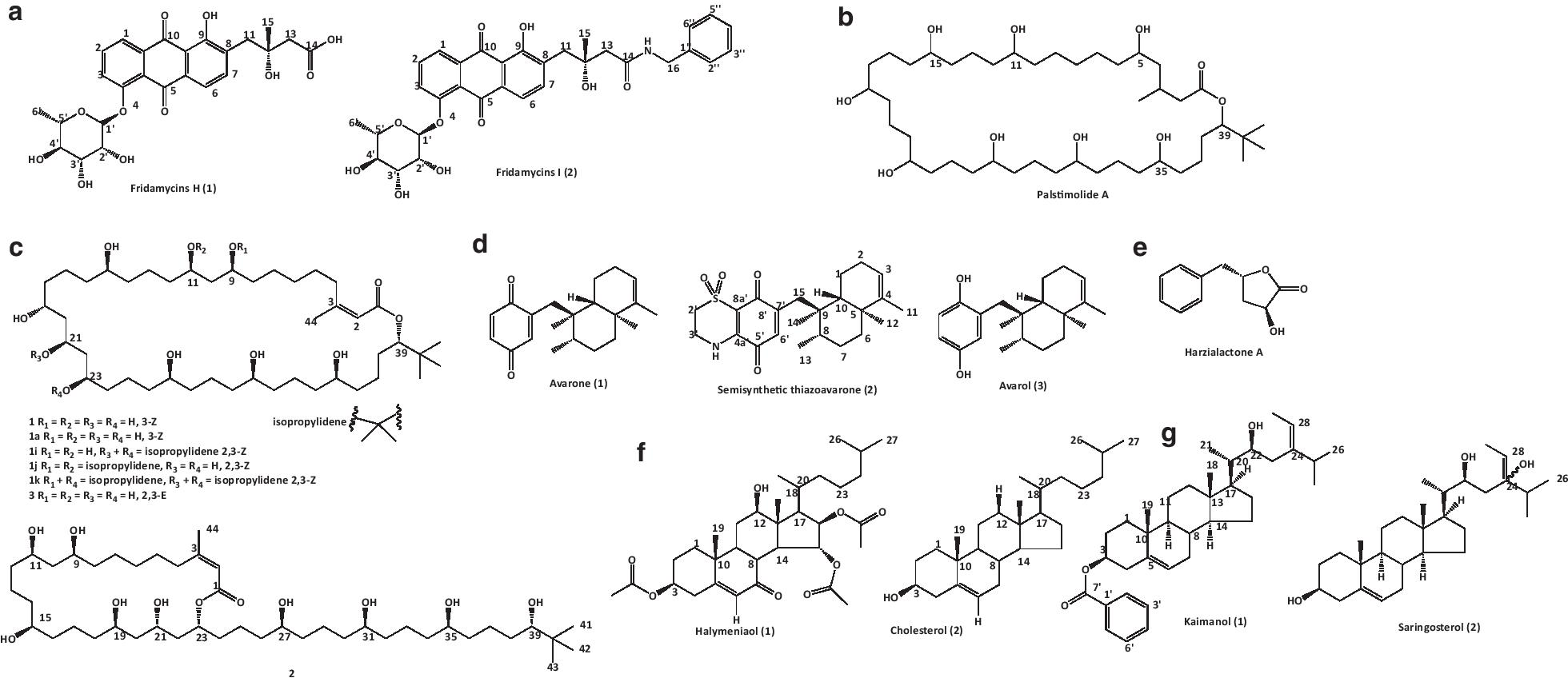 Fig. 5