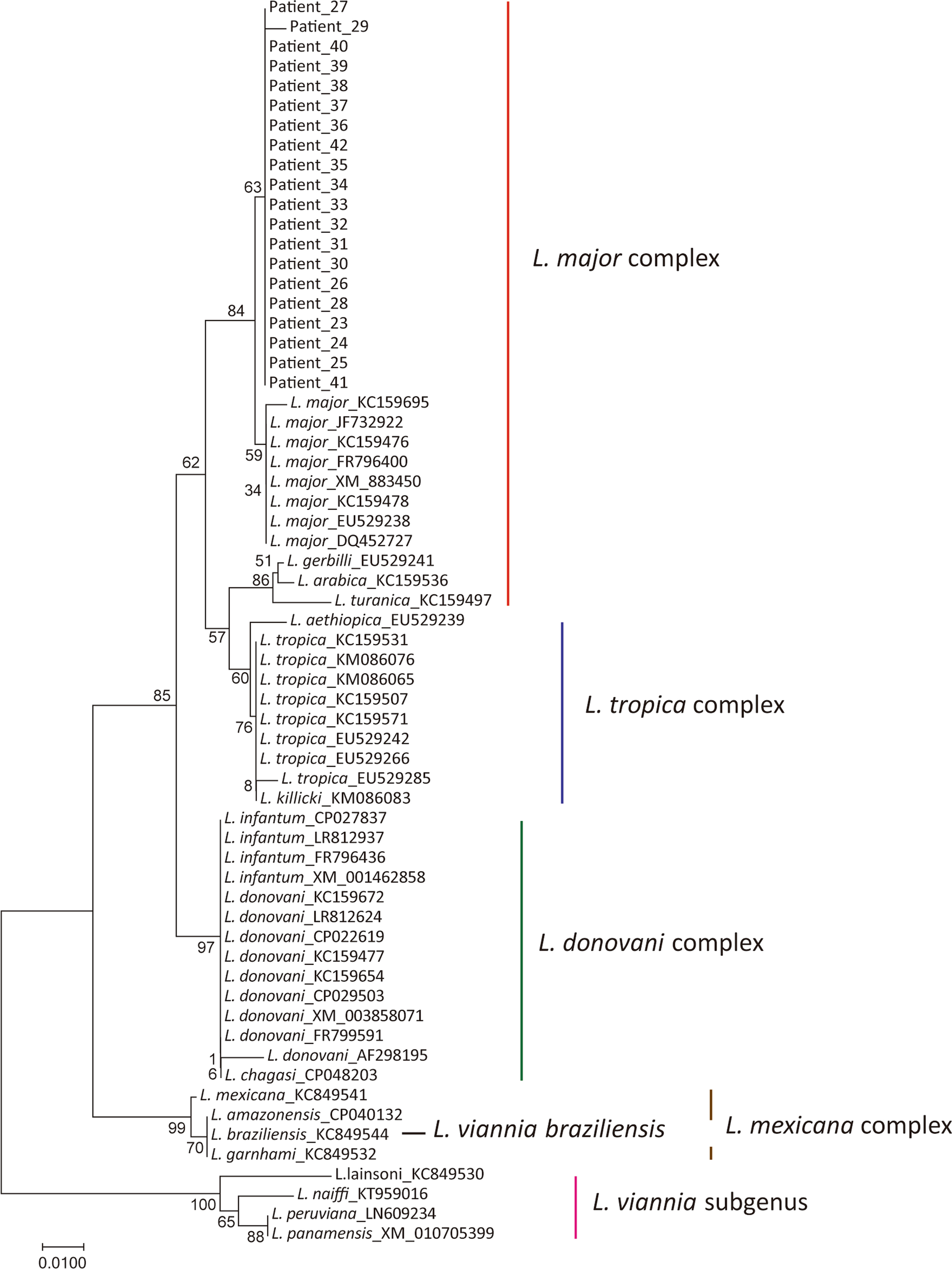 Fig. 6