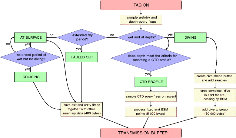 Fig. 5