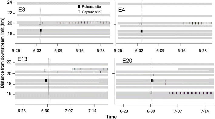 Fig. 7