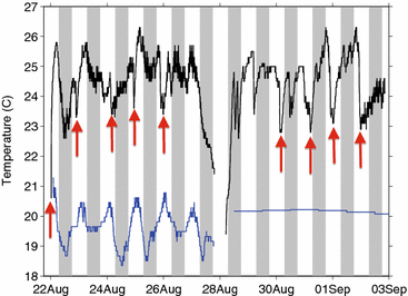 Fig. 4