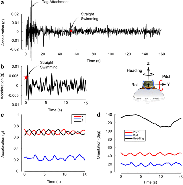 Fig. 3