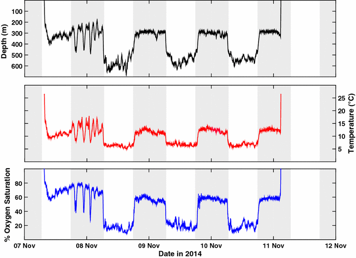 Fig. 2