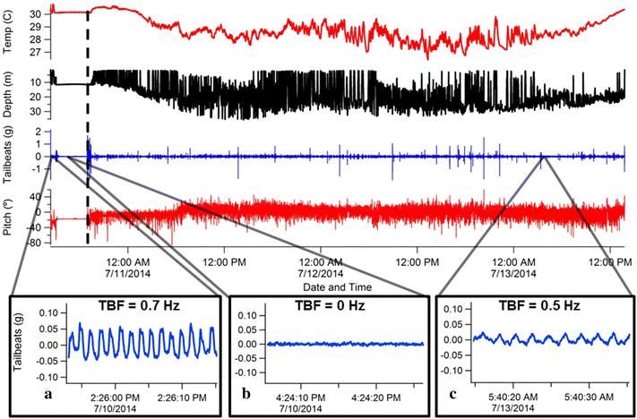 Fig. 3