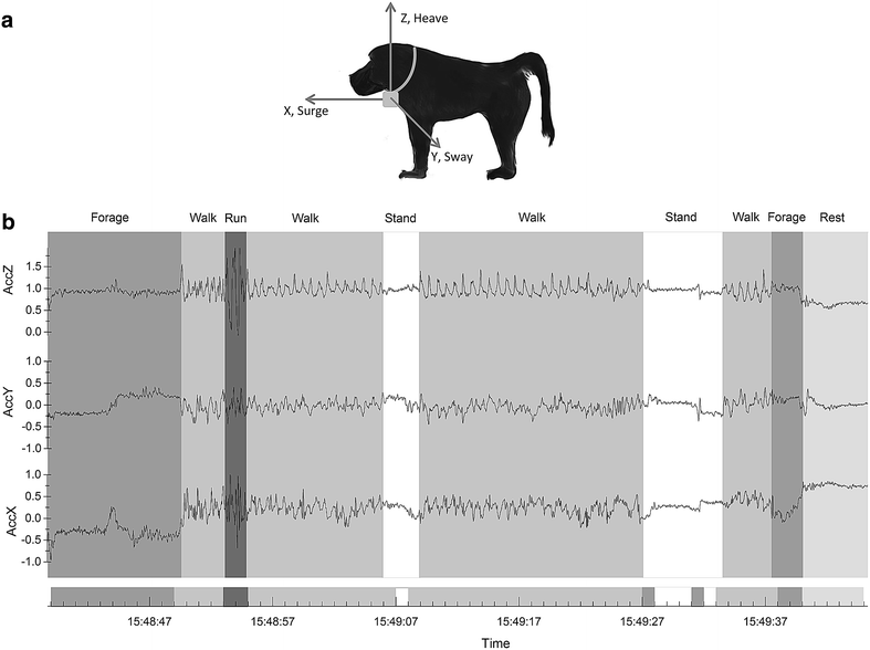 Fig. 2