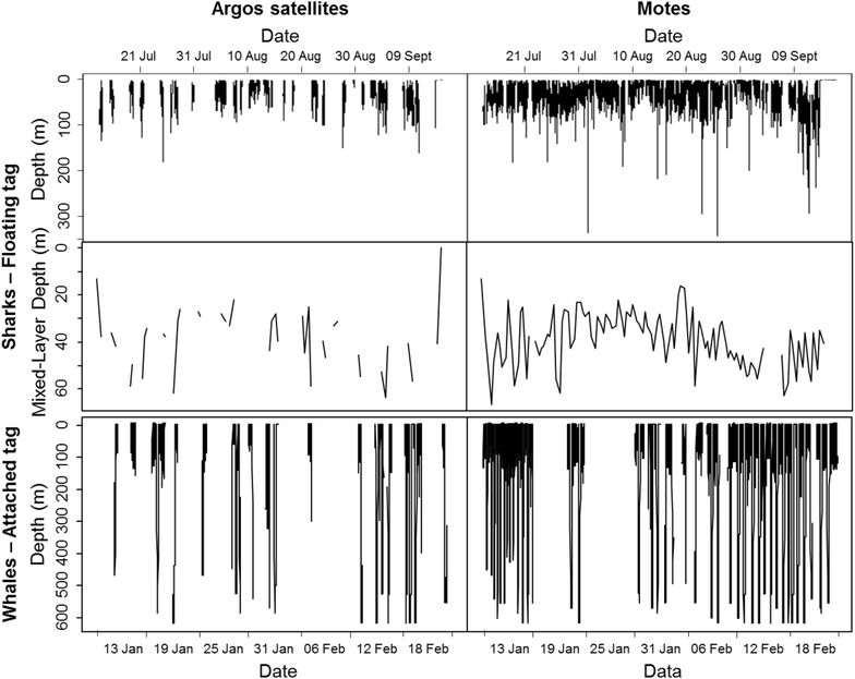 Fig. 7