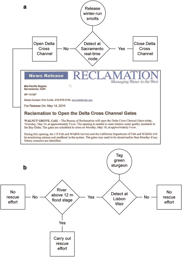 Fig. 10