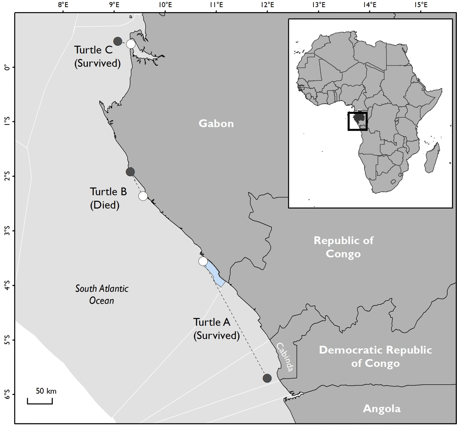 Fig. 3