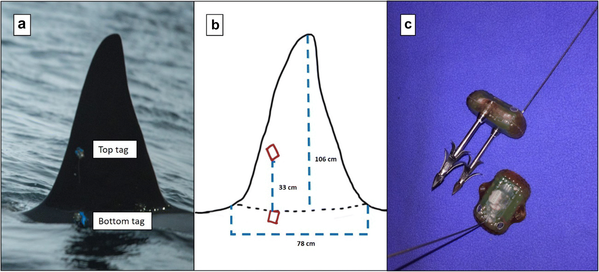 Fig. 1