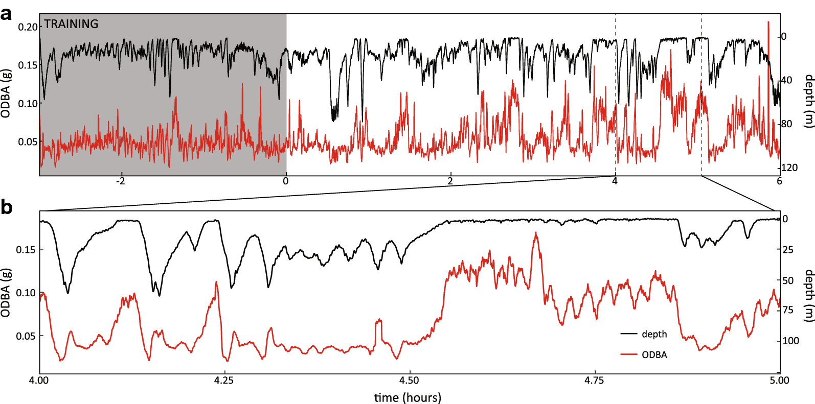 Fig. 1