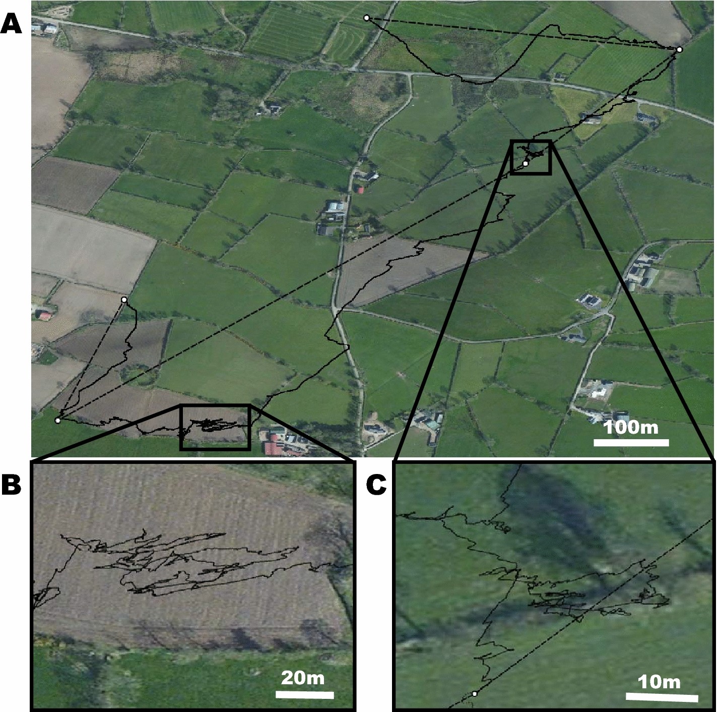 Fig. 3