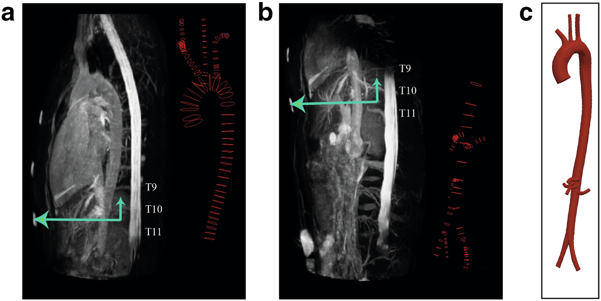 Fig. 21