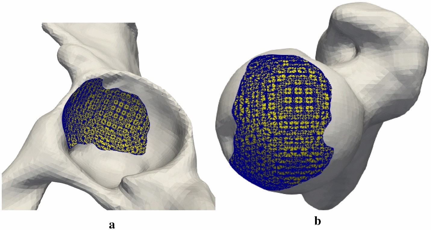 Fig. 9