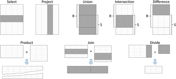 Fig. 5