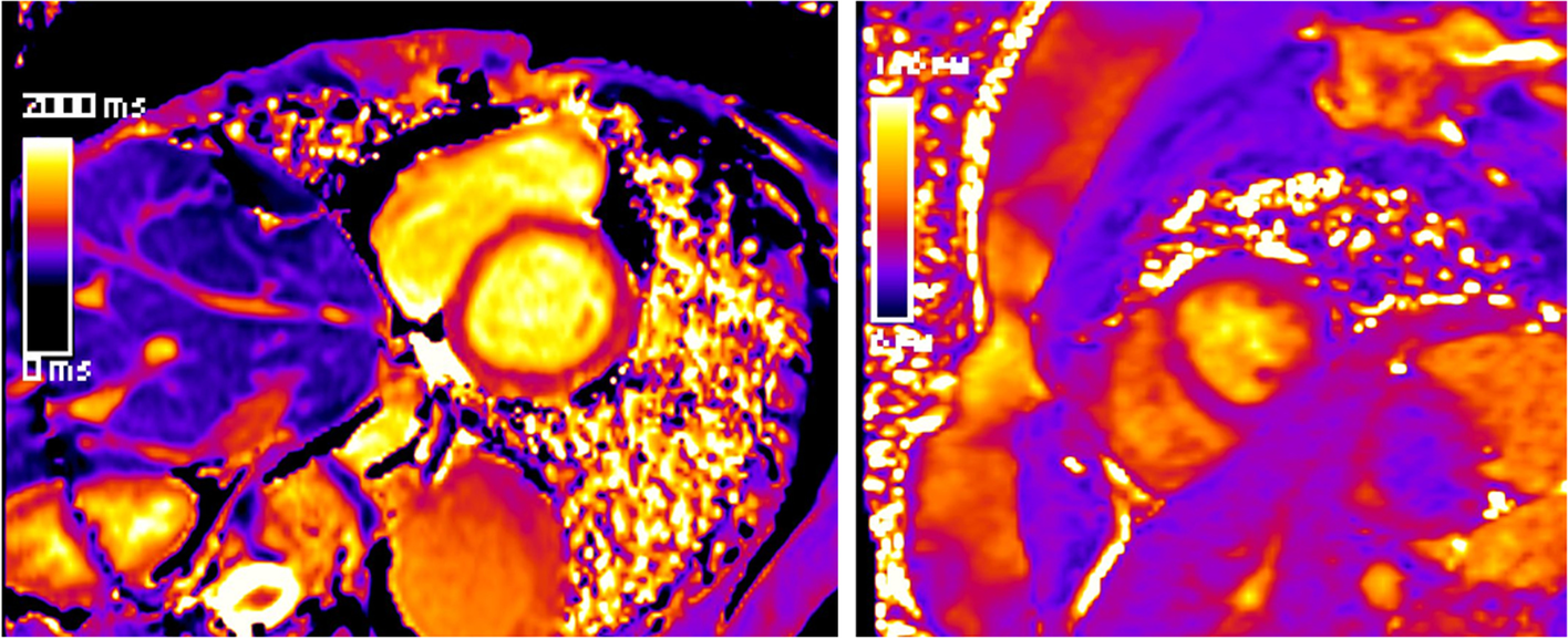 Fig. 7