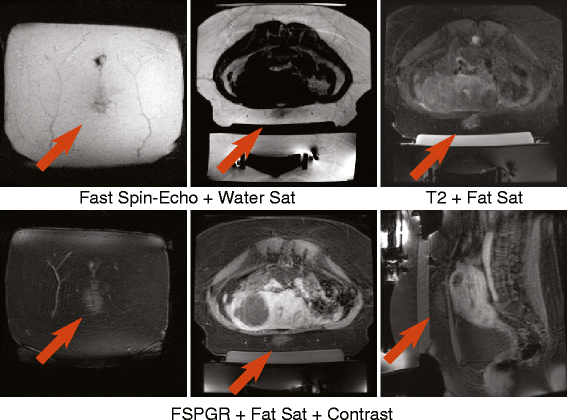 Fig. 8