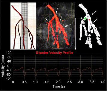 Fig. 17