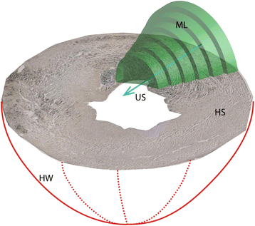 Fig. 5