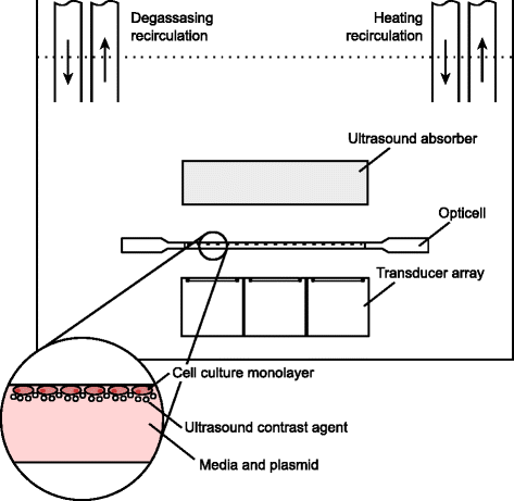 Fig. 5