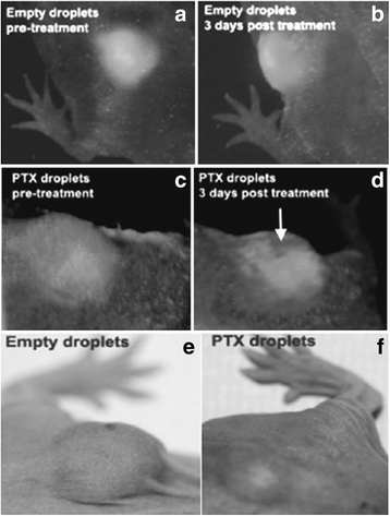 Fig. 9