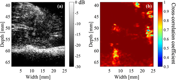 Fig. 8