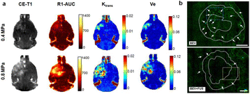 Fig. 33 (abstract A29).