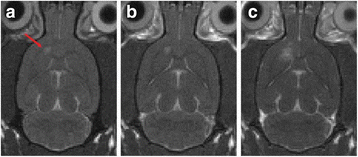 Fig. 16 (abstract O22).