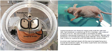 Fig. 183 (abstract P44).