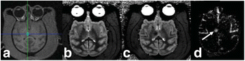 Fig. 39 (abstract O37).