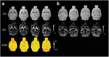 Fig. 44 (abstract O39).