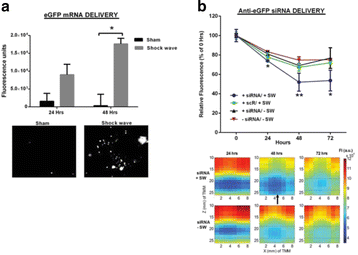 Fig. 86 (abstract O67).