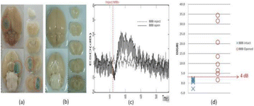 Fig. 1 (abstract P4).