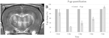 Fig. 1 (abstract P6).