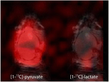 Fig. 1 (abstract P8).