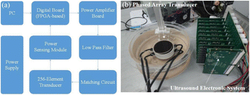 Fig. 1 (abstract P9).